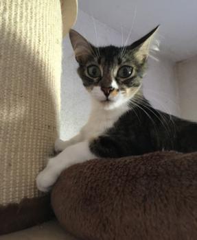 Suzette Bild von Suzette