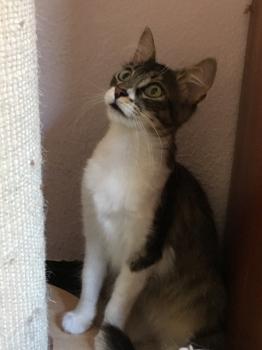 Suzette Bild von Suzette