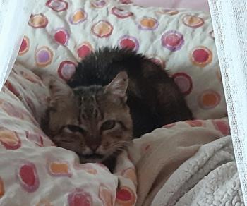 Tino Bild von Tino