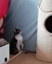 Suzette Bild von Suzette