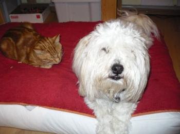 Busta und Freund Bild von Busta