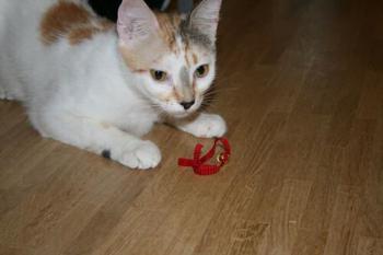 Mia Bild von Mia