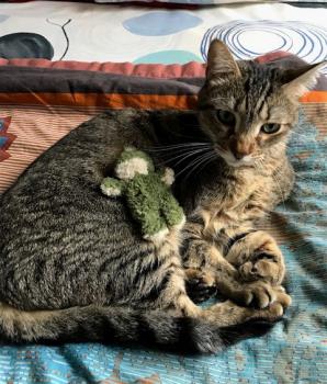 Lenny Bild von Lenny