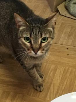 Nora Bild von Nora