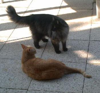 Ingrid und Leonardo Bild von Ingrid