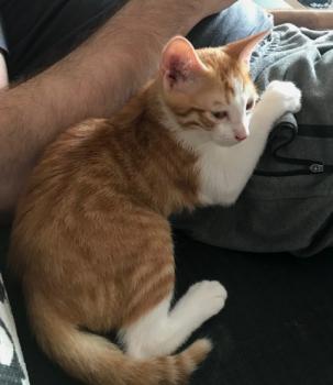 Hazel Bild von Hazel