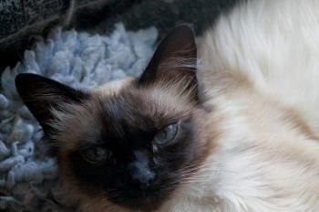 Sophia Bild von Sophia