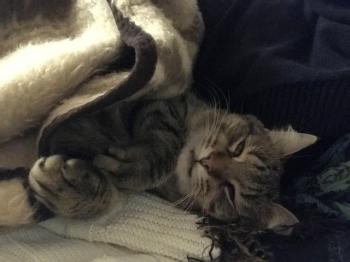 Yuki Bild von Yuki