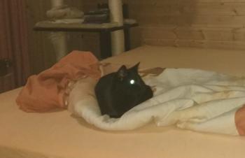 Lulú Bild von Lulú
