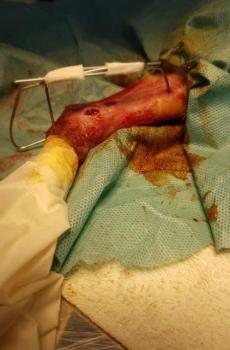 Tatan Bild von Tatan