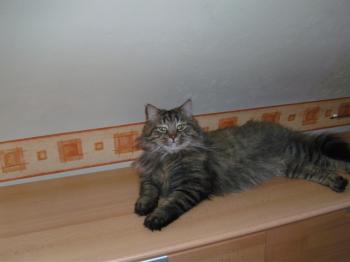 Benny Bild von Benny