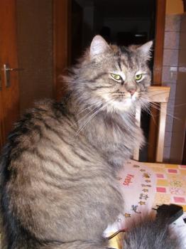 Benny Bild von Benny