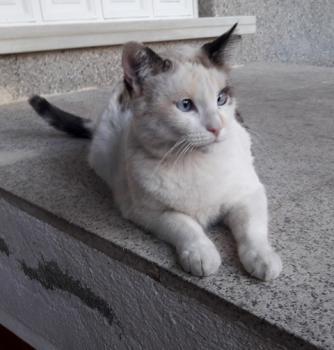 Viki Bild von Viki