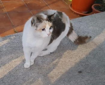Viki Bild von Viki
