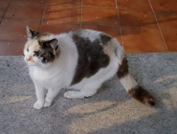 Viki Bild von Viki