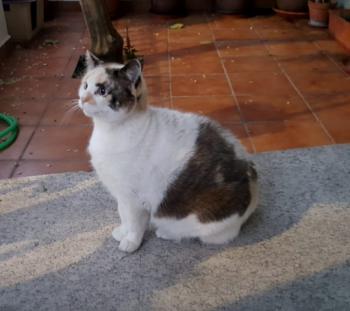 Viki Bild von Viki