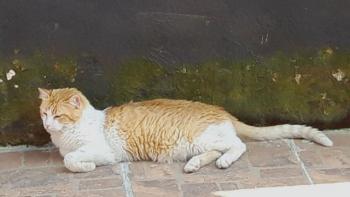Gilito Bild von Gilito