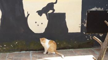 Gilito Bild von Gilito