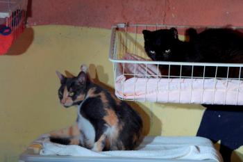 Trina Bild von Trina