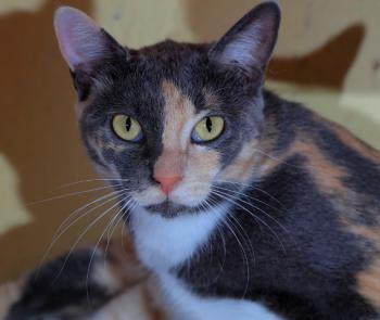 Trina Bild von Trina