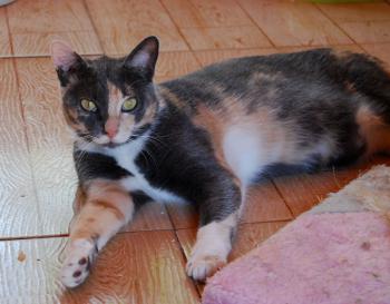 Trina Bild von Trina