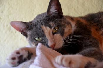 Trina Bild von Trina