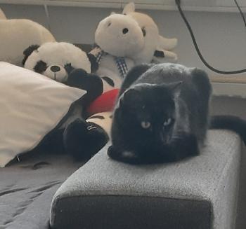 Sophia Bild von Sophia