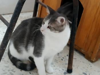 Selina Bild von Selina
