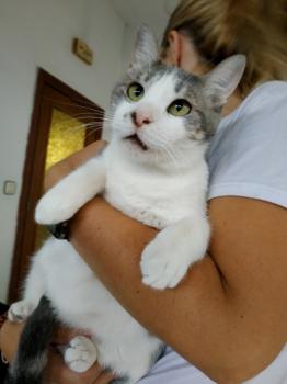 Selina Bild von Selina
