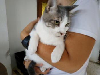 Selina Bild von Selina