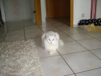 Iria Bild von Iria