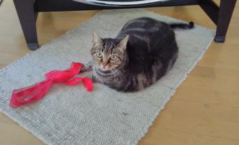Lulu Bild von Lulu