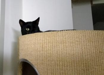 Lulú Bild von Lulú