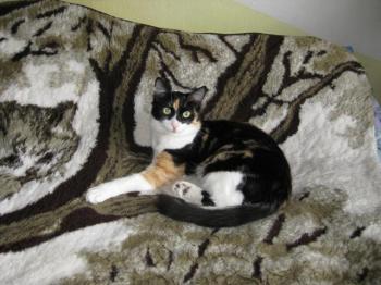 Bild von Melly