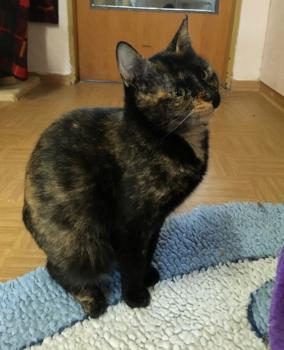 Jenny Bild von Jenny