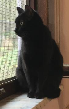 Melchior Bild von Melchior