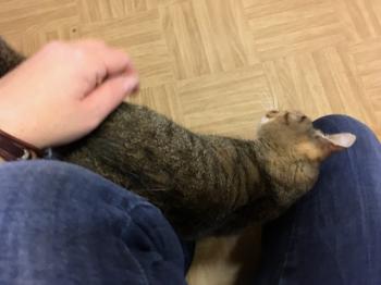 Nora Bild von Nora