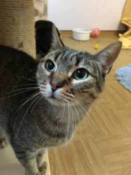 Nora Bild von Nora