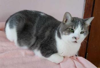 Selina Bild von Selina