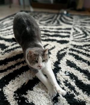 Selina Bild von Selina