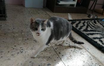 Selina Bild von Selina