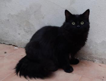 Junior Bild von Junior