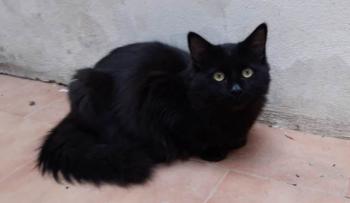 Junior Bild von Junior