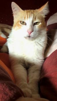 Gilito Bild von Gilito