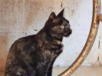 Niara Bild von Niara