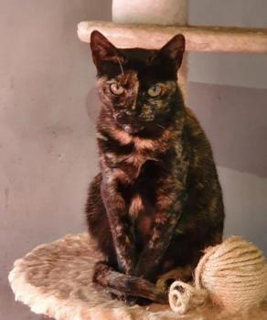Niara Bild von Niara