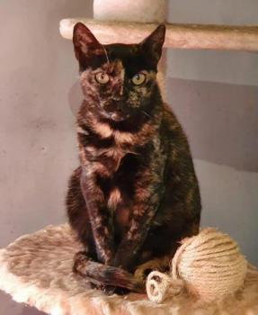 Niara Bild von Niara