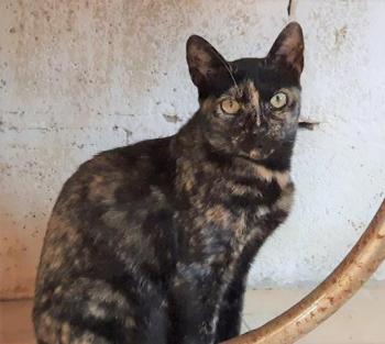 Niara Bild von Niara