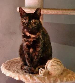 Niara Bild von Niara