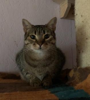 Nora Bild von Nora